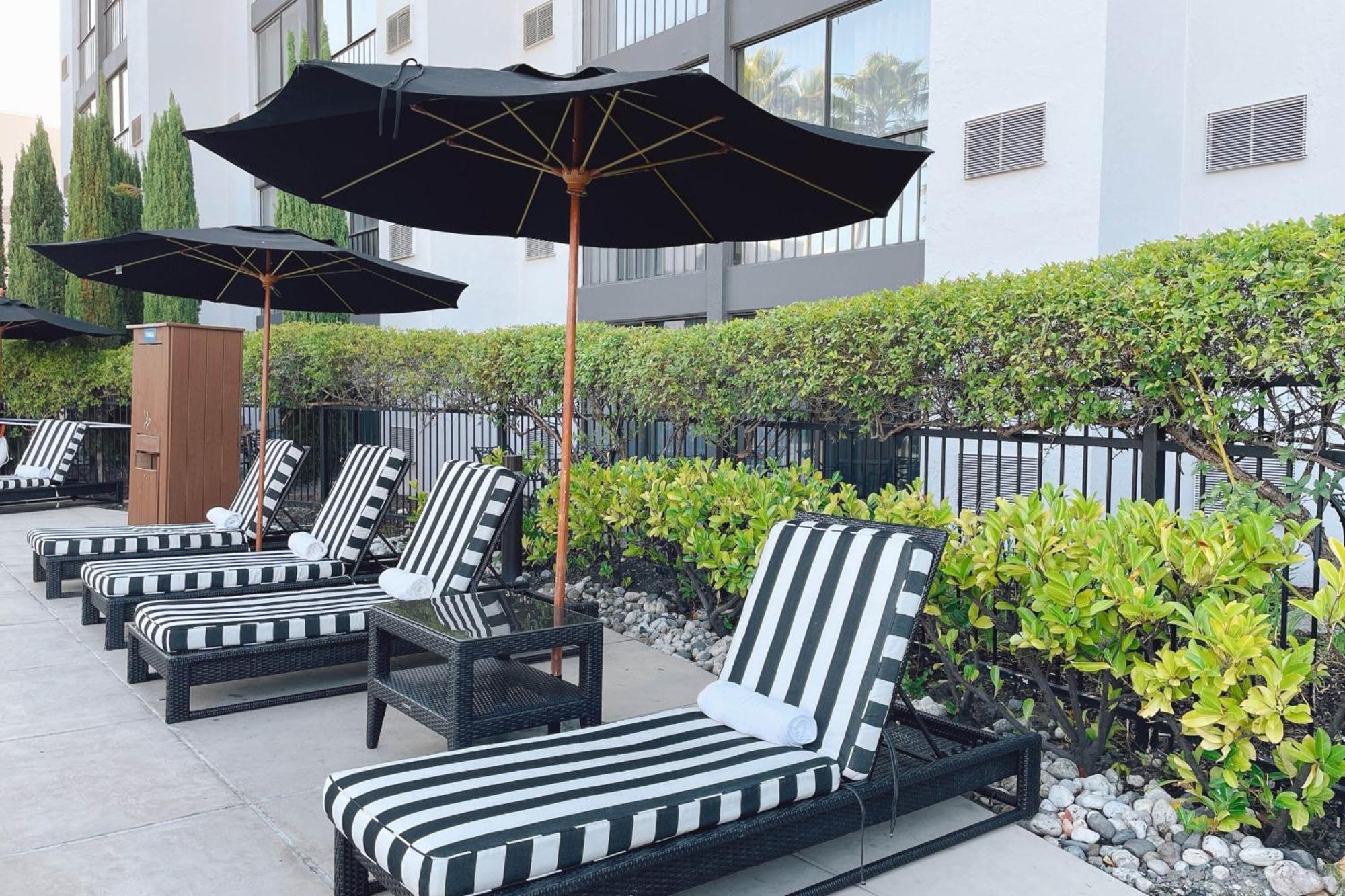 Four Points By Sheraton San Rafael Marin County Buitenkant foto