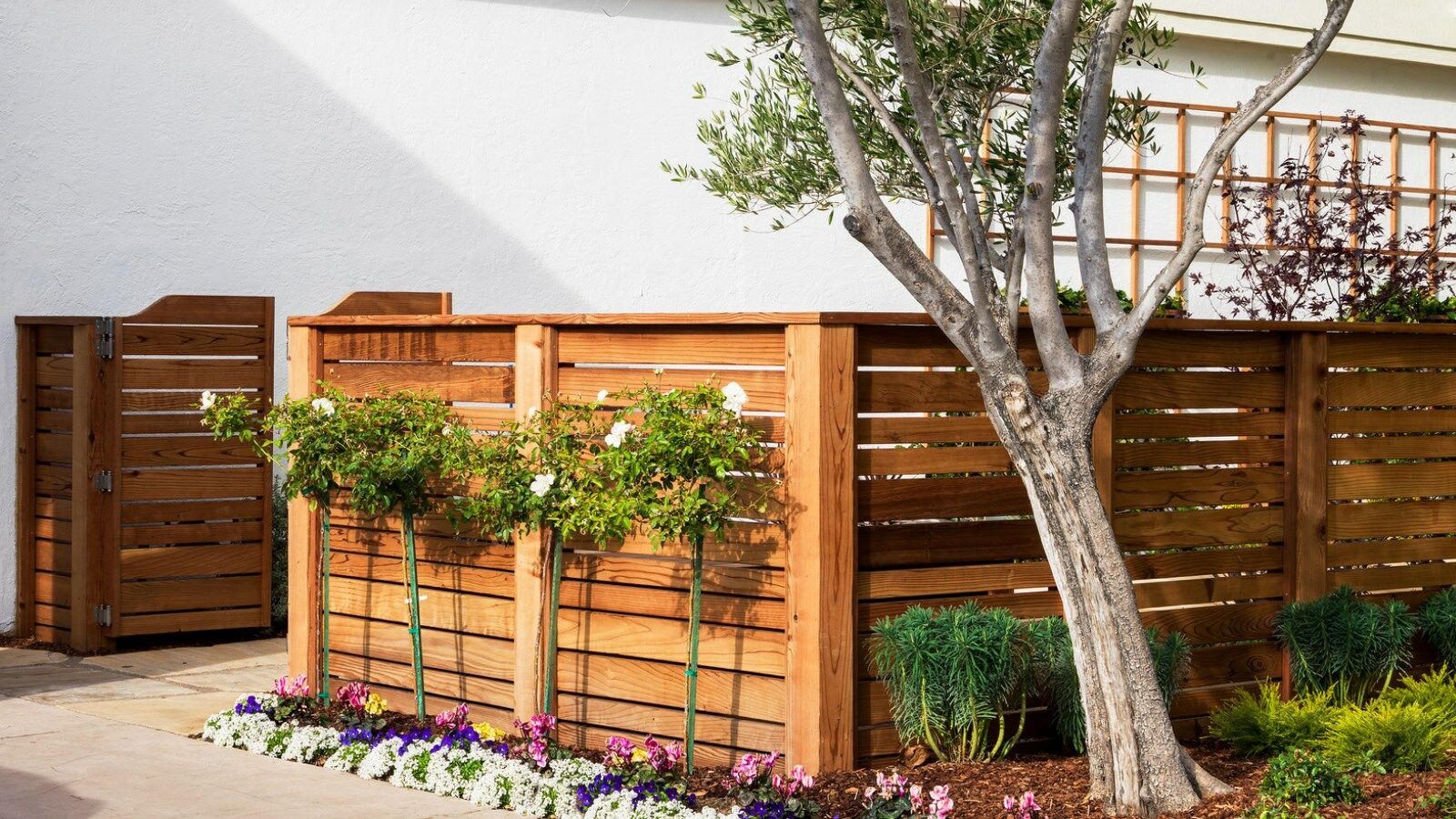 Four Points By Sheraton San Rafael Marin County Buitenkant foto